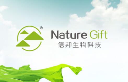 茯苓采收注意事项
