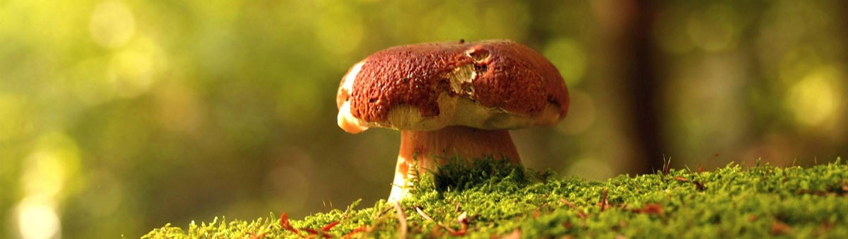 临沂信邦生物科技有限公司